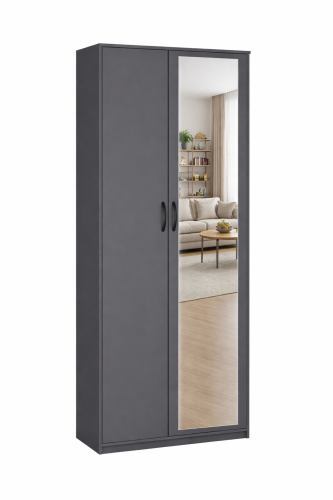 Шкаф 2-х створчатый "Дуэт Люкс" с зеркалом в цвете Графит - Фабрика ЭКО