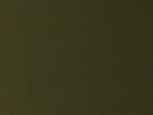 Дуб Болотный - Фабрика ЭКО