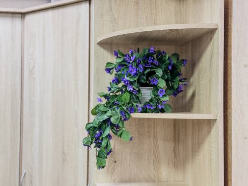 Полка угловая «Дуэт Люкс» в цвете Дуб Сонома Полка угловая «Дуэт Люкс» в цвете Дуб Сонома - Фабрика ЭКО